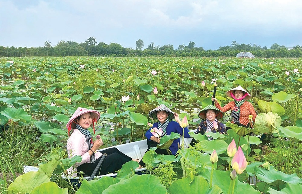 Dong Thap inspires with its green tourism development