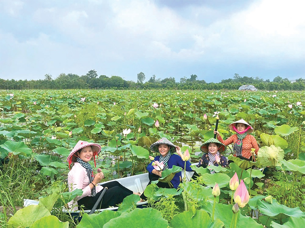 Dong Thap inspires with its green tourism development