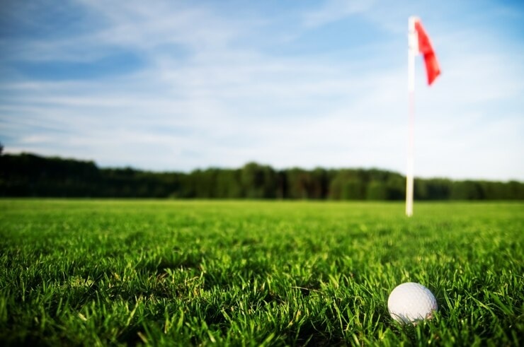 Golf courses deemed tool to lure in more foreign investment inflows