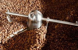 Processed coffee in export expansion