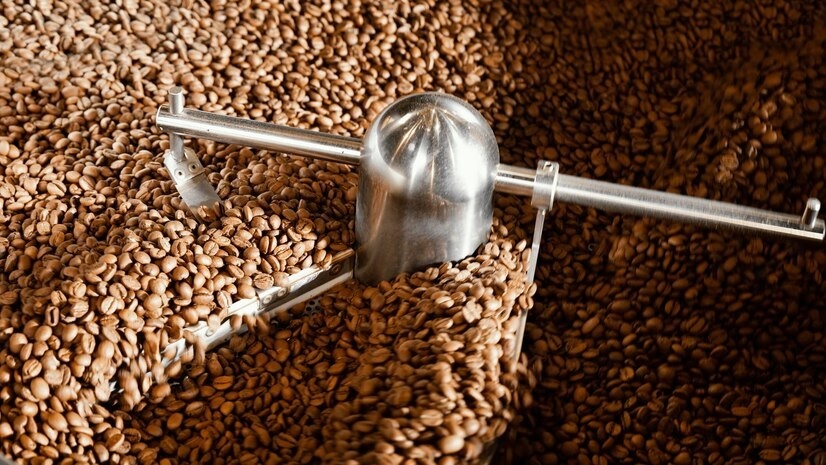 Processed coffee in export expansion