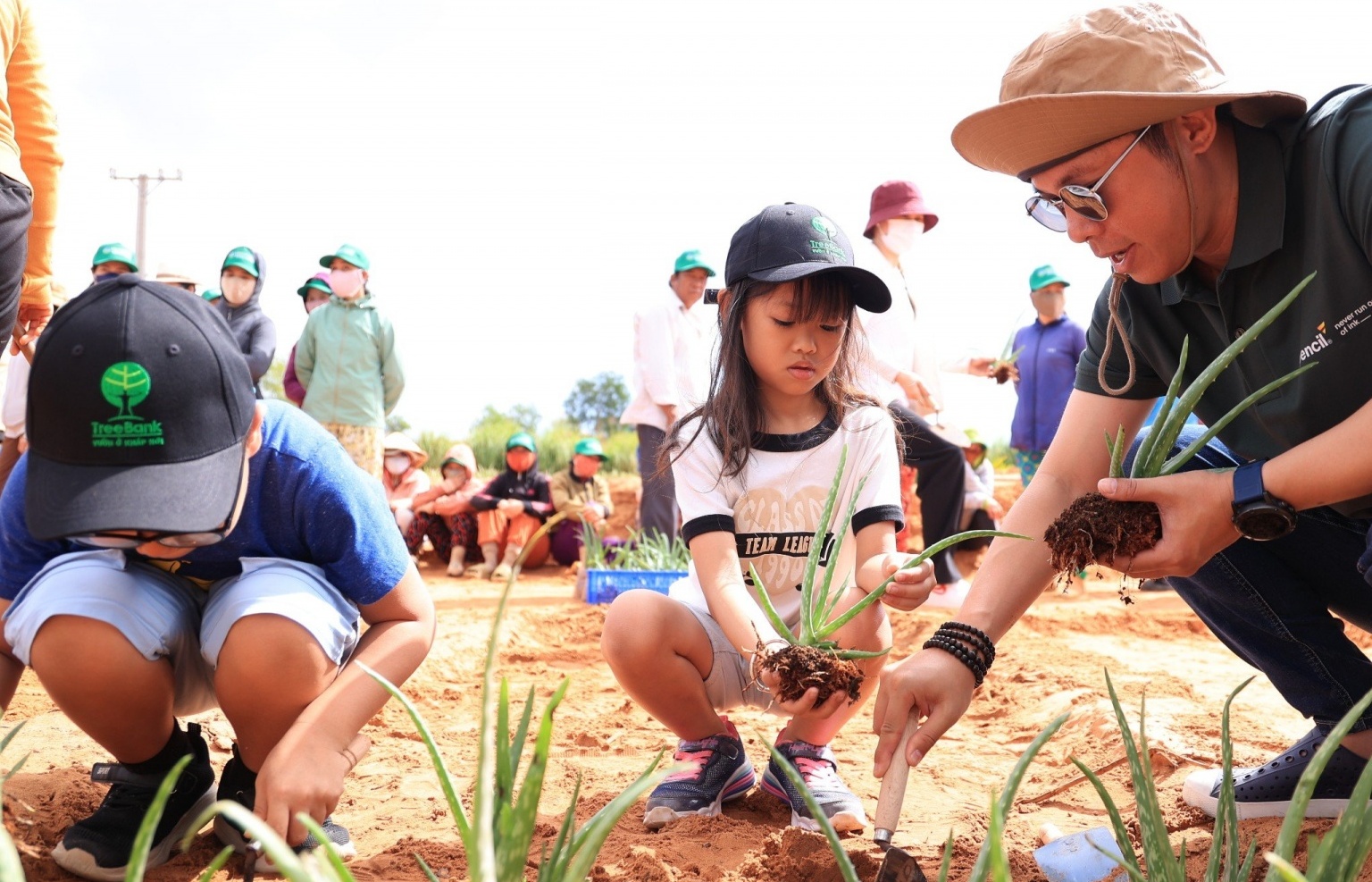 Launching the global map of Vietnamese tree planting