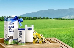 Thai firm F&N Dairy Investments seeks to raise stake in Vinamilk