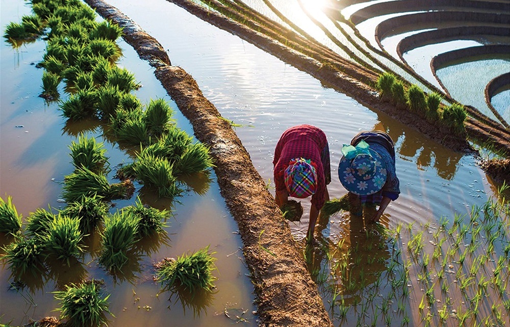 Farming meets tourism, how Vietnam is cultivating new travel experiences