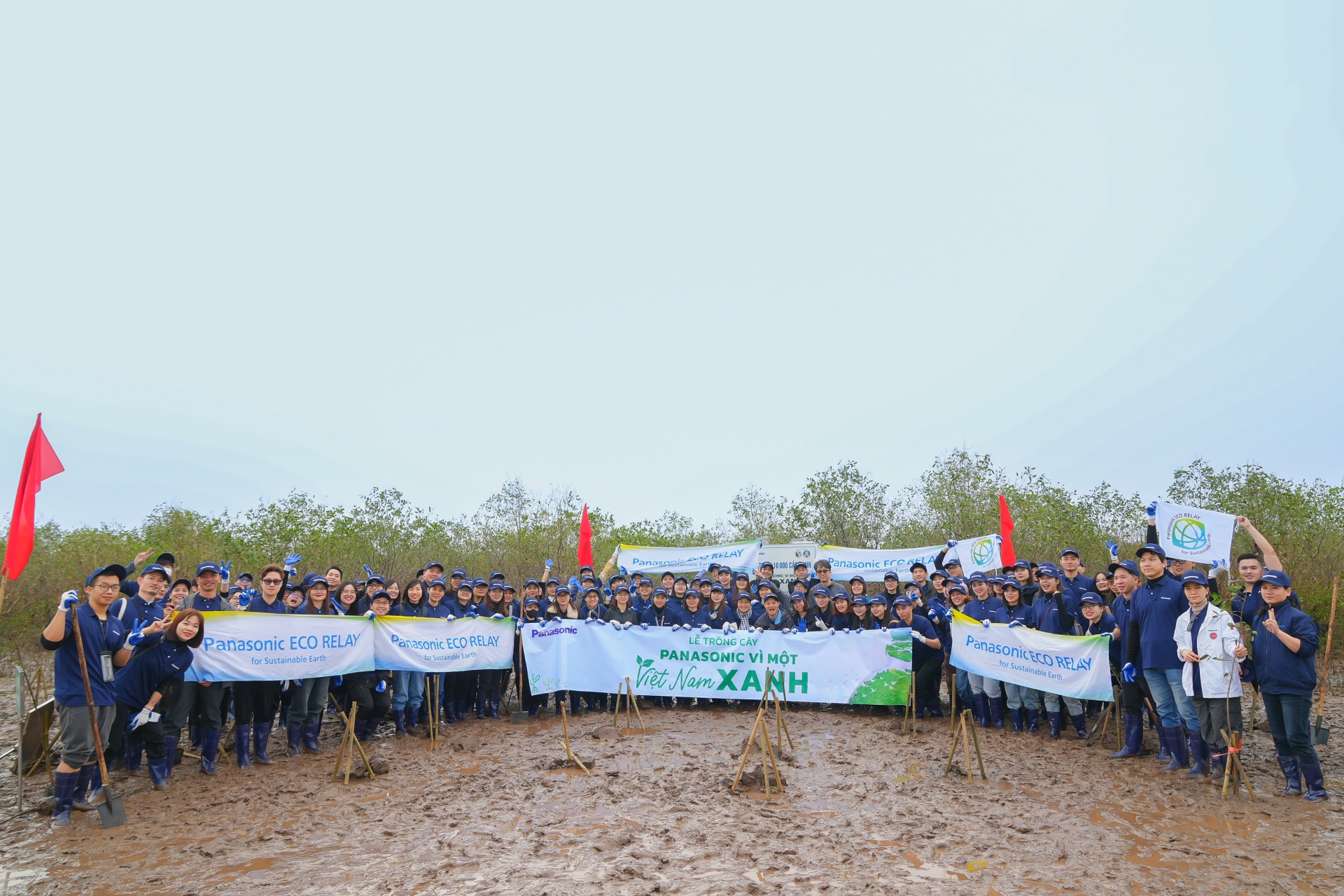 Panasonic plants mangrove forest in Thai Binh province