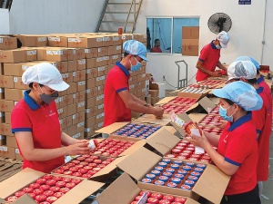 Food groups express unease over safety law proposals