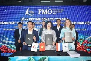Dutch bank FMO grants $15 million to Phuc Sinh