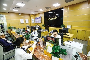 Generous dividend plans warm investor sentiment