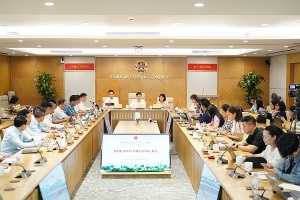 Starlink yet to submit application to deploy satellite internet service in Vietnam