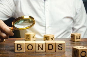 Bond issuance mulled as rate duress mounts