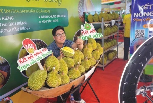 Vietnamese farm producers embrace e-commerce models
