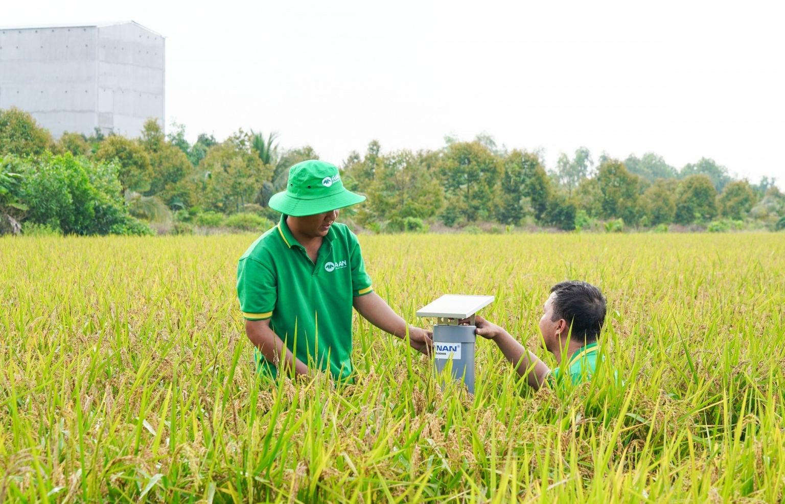Vietnam to pilot 15 carbon credit farming models