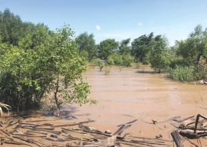 Experts propose to strategies improve Mekong Delta water management