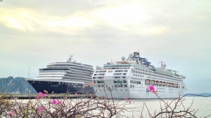 Halong Cruise Port welcomes over 3,100 international visitors