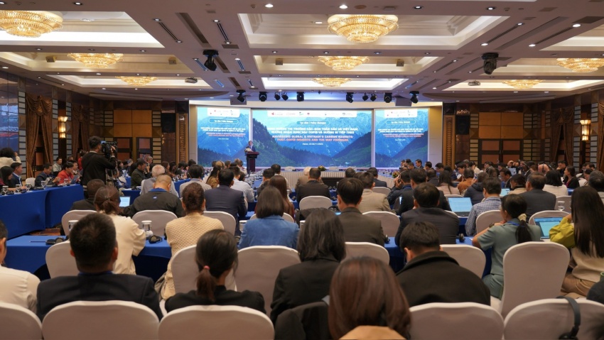 Shaping next-generation carbon market after COP30