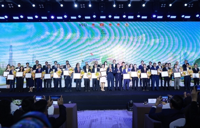 CSI 2025 highlights rise of Vietnam’s green champions