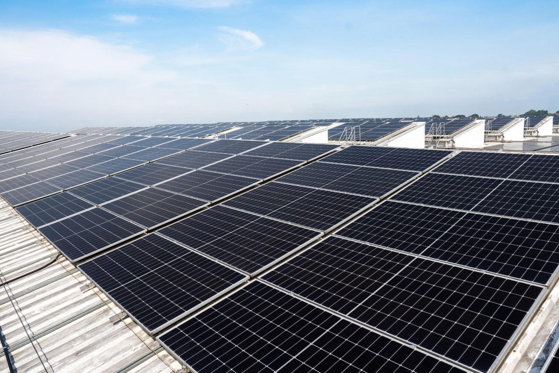 Schaeffler reports strong early output from Dong Nai solar project
