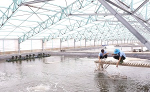 Australia contributing to Vietnam’s climate change responses