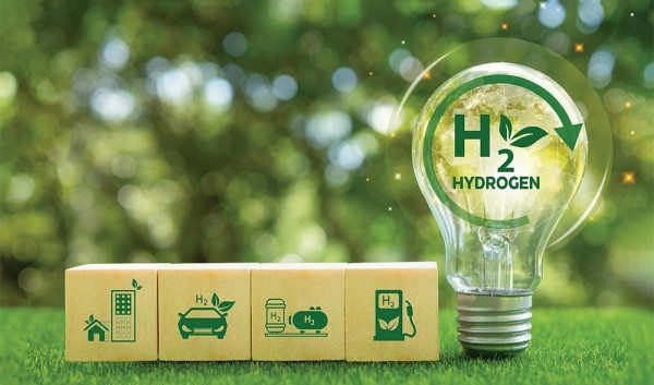 The green hydrogen and ammonia future for Vietnam