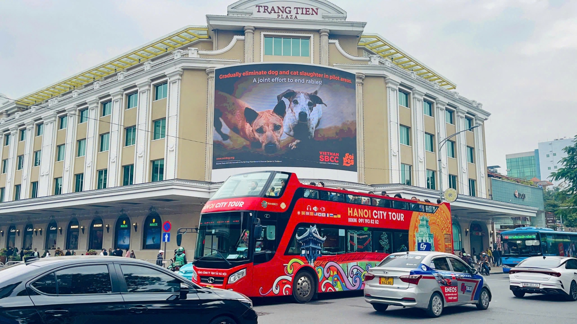 Hanoi steps up rabies prevention through public awareness