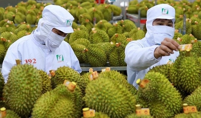 Fruit and vegetable exports surge ahead of Lunar New Year