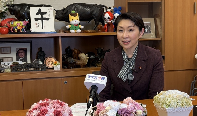 Japanese legislator confident in CPV's role in advancing Vietnam’s growth