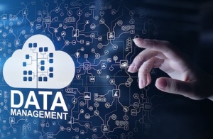 Data-driven risk management signals major shift in customs administration