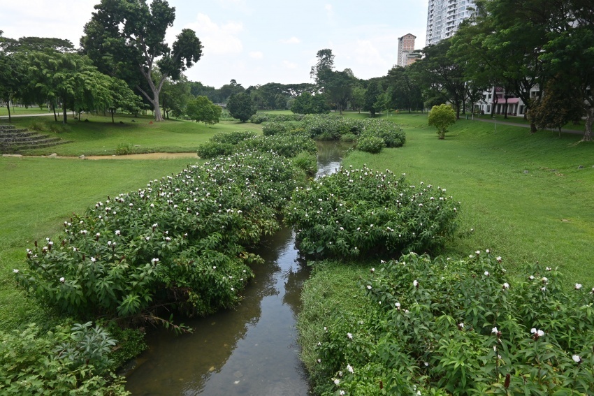 Decree opens incentives for green urban development