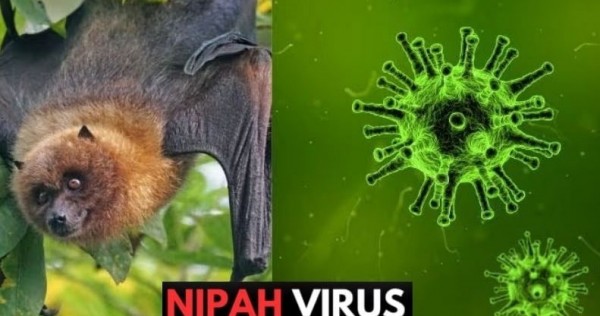 Hanoi intensifies airport monitoring amid Nipah disease risks