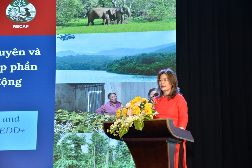 $100 million initiative launched to protect forests and boost rural incomes