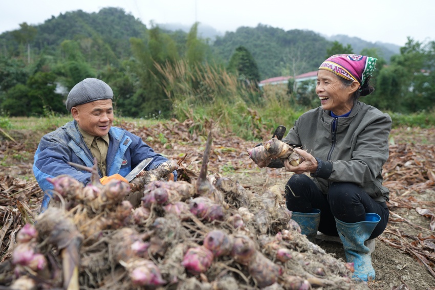 $100 million initiative launched to protect forests and boost rural incomes