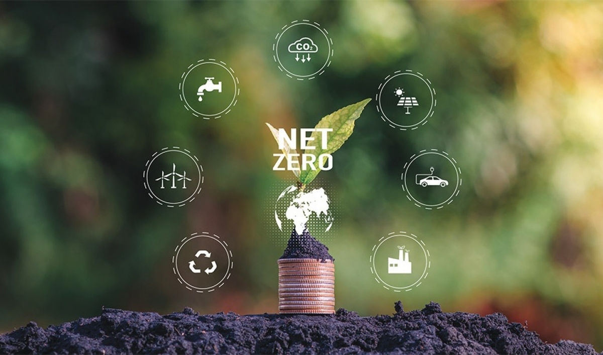 Momentum is real in the race to net-zero emissions