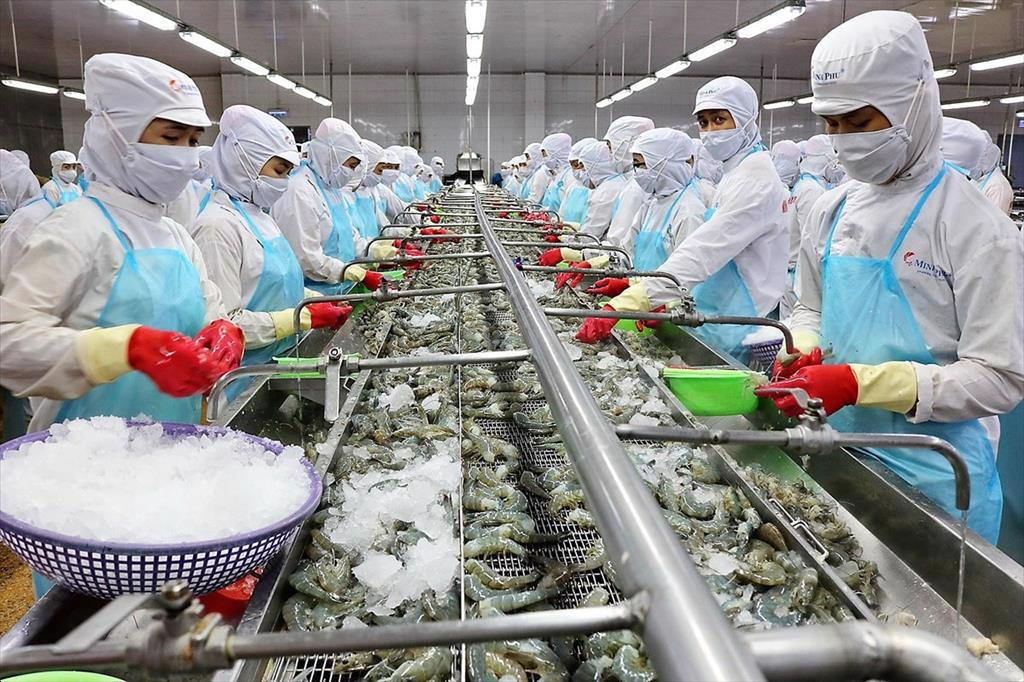 Seafood exports rise in January