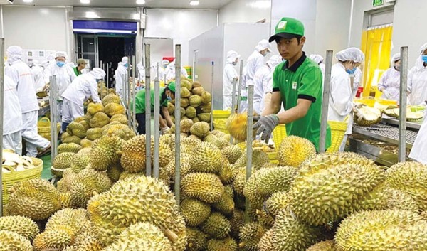 Agro-forestry and fisheries exports jump nearly 30 per cent in January