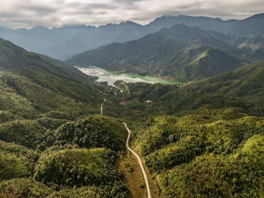 Vietnam forest protection initiative launched