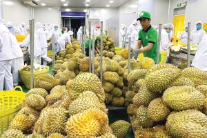 Agro-forestry and fisheries exports jump nearly 30 per cent in January