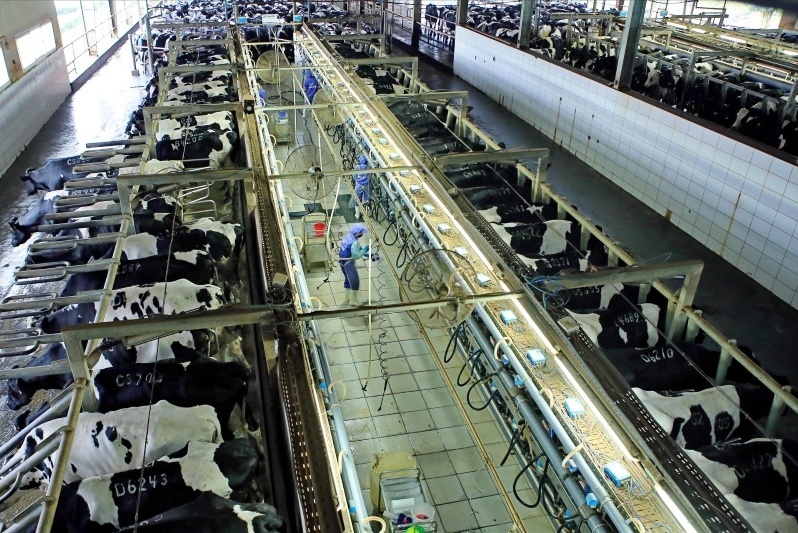 Vietnam sets ambitious dairy growth targets