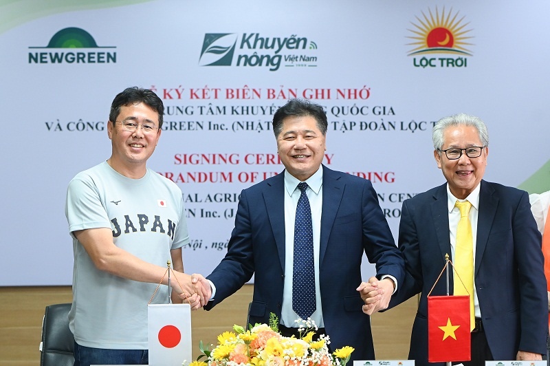 Japanese technology set for Mekong Delta rice cultivation