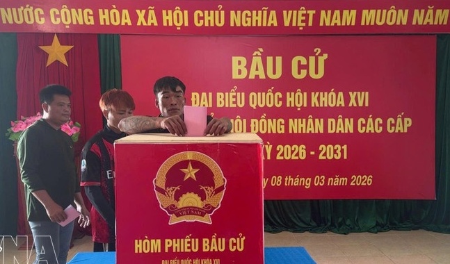 Vietnamese NA helps build institutional foundations for long-term development: Canadian researcher