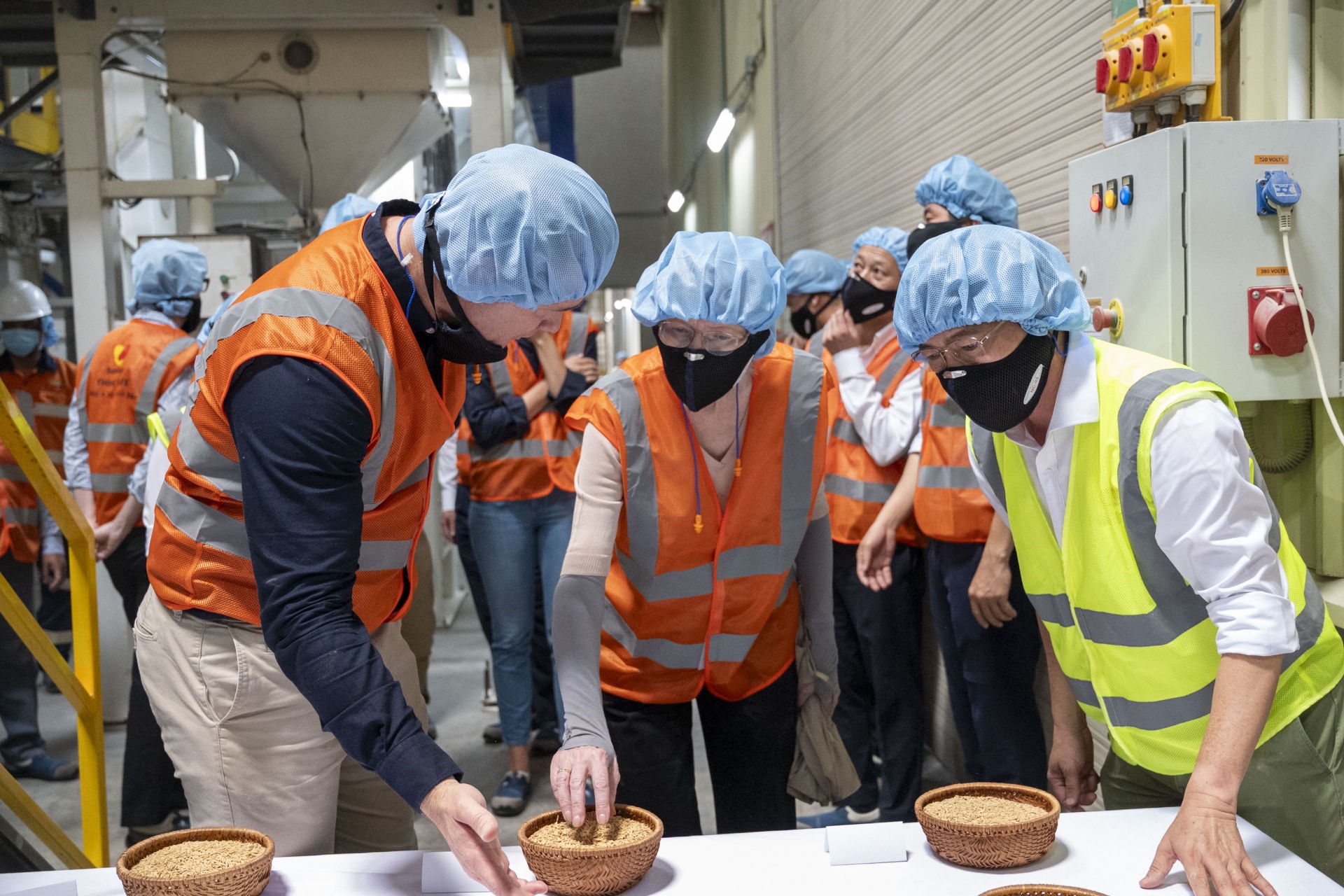 Partnership advances climate-smart rice value chains