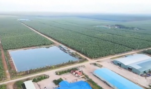 HAGL unveils 20,000-hectare regional coffee expansion plan