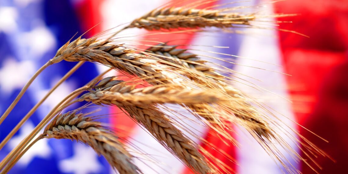 US launches trade mission to Vietnam for agricultural exports