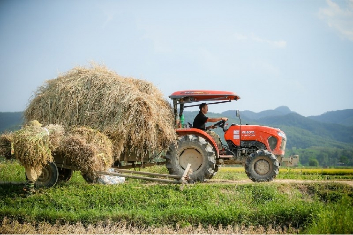 Lotte Global Logistics inks MoU with Tan Long Group to enhance agriculture and food logistics