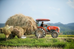 Lotte Global Logistics inks MoU with Tan Long Group to enhance agriculture and food logistics