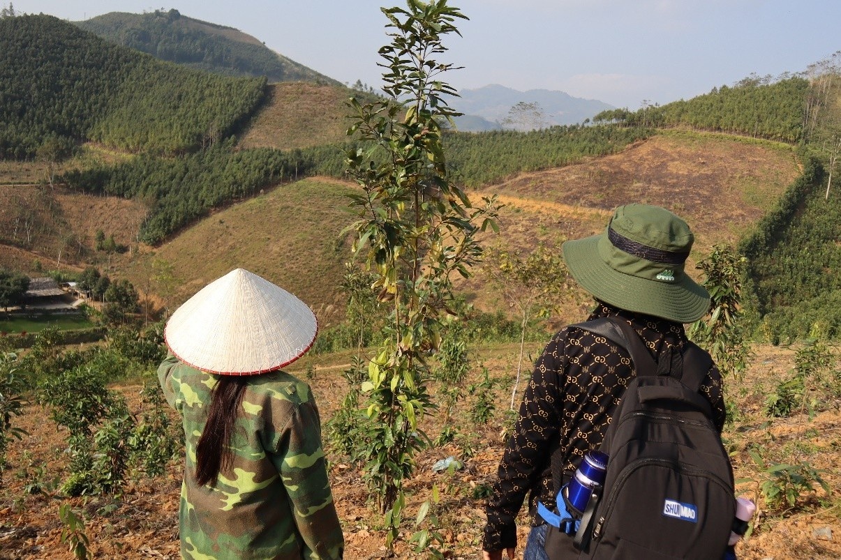 JICA secures GCF funding for Vietnam forest conservation project
