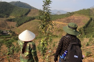 JICA secures GCF funding for Vietnam forest conservation project
