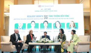 UK unveils toolkit to boost Vietnam green investment flows