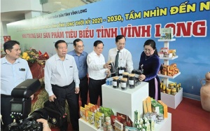 Vinh Long kicks ahead with marine-energy approach