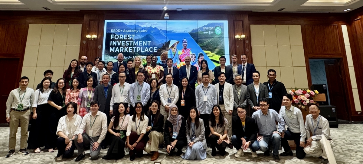 Forest Investment Marketplace convenes in Hanoi