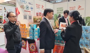 From standards to strategy: building Vietnam’s green export capability